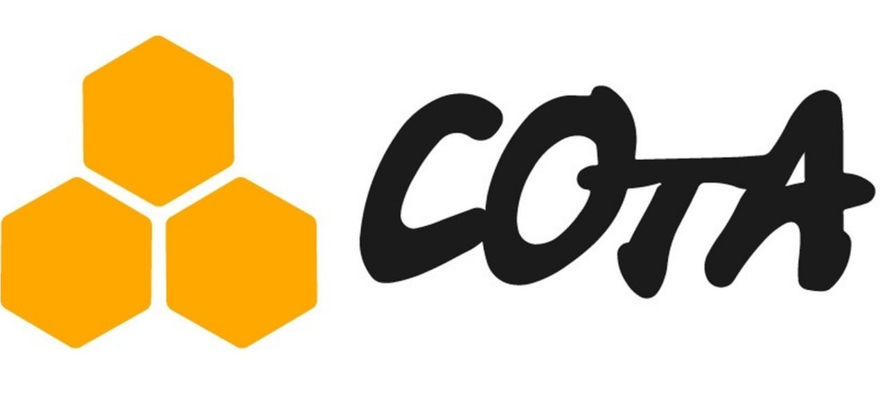 Сота